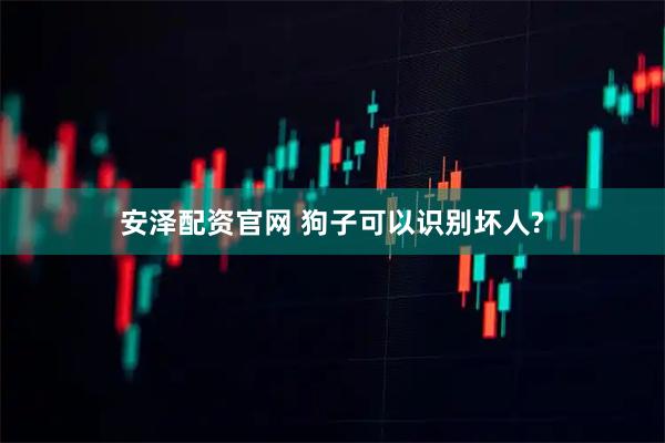 安泽配资官网 狗子可以识别坏人?