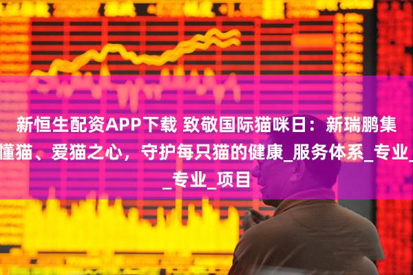 新恒生配资APP下载 致敬国际猫咪日：新瑞鹏集团以懂猫、爱猫之心，守护每只猫的健康_服务体系_专业_项目