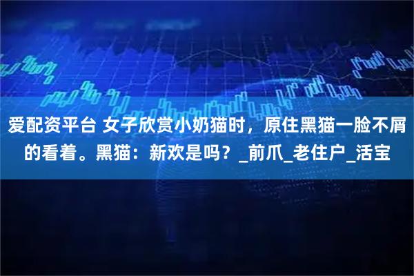 爱配资平台 女子欣赏小奶猫时，原住黑猫一脸不屑的看着。黑猫：新欢是吗？_前爪_老住户_活宝
